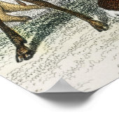 Eigen naam Red Deer Hart, Hind, Roebuck Musk Deer Poster (Hoek)