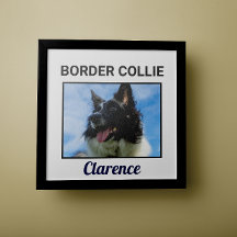 Eigen Poster voor randCollie