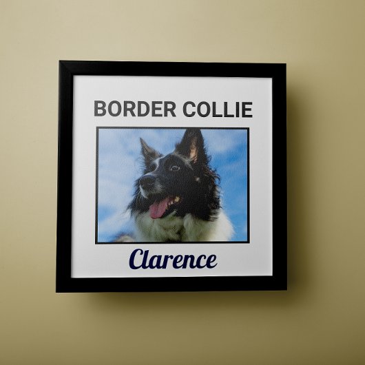 Eigen Poster voor randCollie