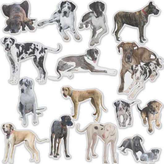 Eigen vinylStickers Grote Denen Sticker (Voorkant)