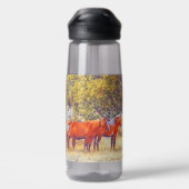 Eigen waterfles: CamelBak Eddy® Wilde paarden Waterfles (Achterkant)