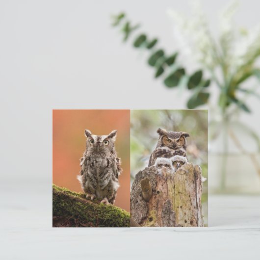 Eigenaar Briefkaart (Staand voorkant)