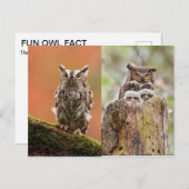 Eigenaar Briefkaart (Voorkant / Achterkant)