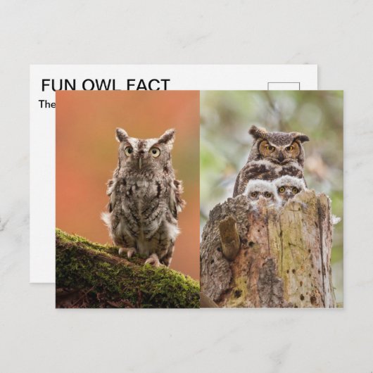 Eigenaar Briefkaart (Voorkant / Achterkant)