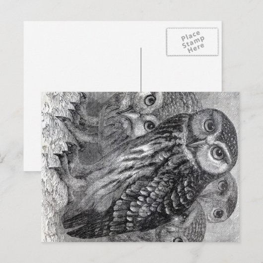  eigenaar briefkaart (Voorkant / Achterkant)