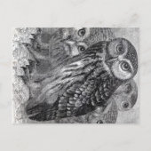  eigenaar briefkaart (Voorkant)