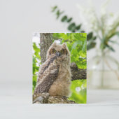 Eigenaar Briefkaart (Staand voorkant)