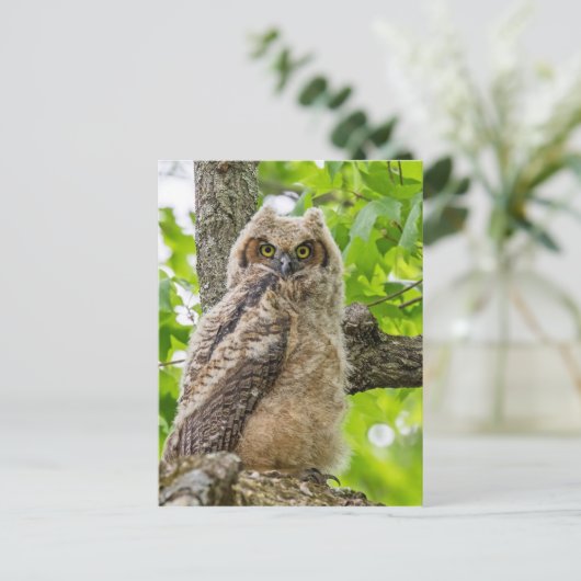 Eigenaar Briefkaart (Staand voorkant)