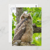 Eigenaar Briefkaart (Voorkant / Achterkant)