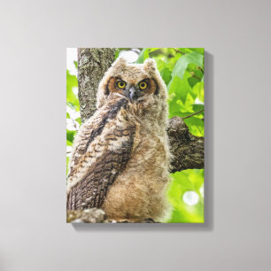 Eigenaar Canvas Afdruk