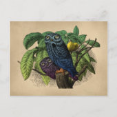  eigenaar kleurrijke gravering briefkaart (Voorkant)