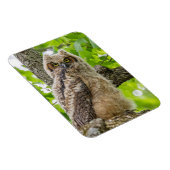 Eigenaar Magneet (Rechterzijde)