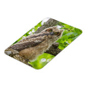 Eigenaar Magneet (Linkerzijde)