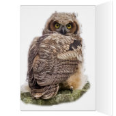 Eigenaar op een filiaal (Binnen (Links))