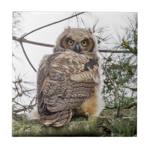 Eigenaar op een filiaal tegeltje