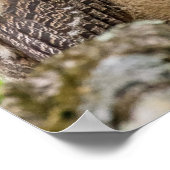 Eigenaar Poster (Hoek)