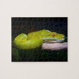 Eigenaar van de groene boom Python Snake Legpuzzel