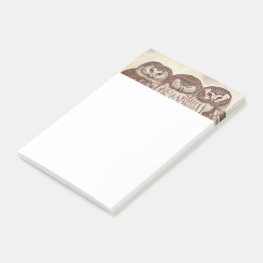 Eigenaar van groot briefbord post-it® notes (Schuin)