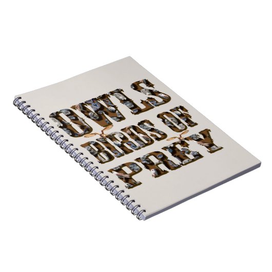 eigenaar van roofvogels; notitieboek (Rechterzijde)