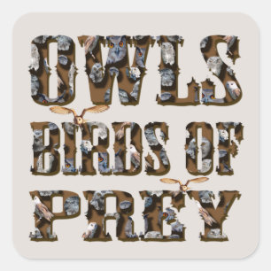eigenaar van roofvogels; vierkante sticker