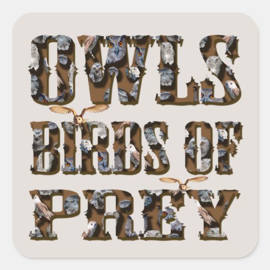 eigenaar van roofvogels; vierkante sticker (Voorkant)