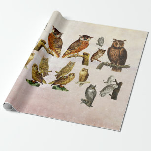  eigenaar van vogels Wilde dieren Kunst Collage Cadeaupapier