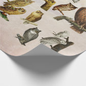  eigenaar van vogels Wilde dieren Kunst Collage Cadeaupapier (Hoek)