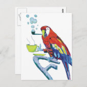 eigenaardige papegaai briefkaart (Voorkant / Achterkant)