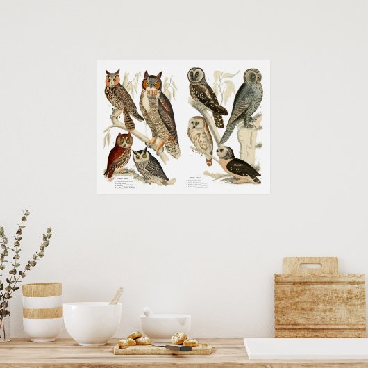  - Eigenaars afdrukken Poster (Keuken)