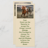 Eigenaars van prachtige paarden uit de Ras van Cla (Voorkant / Achterkant)