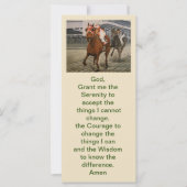 Eigenaars van prachtige paarden uit de Ras van Cla (Voorkant)