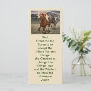 Eigenaars van prachtige paarden uit de Ras van Cla