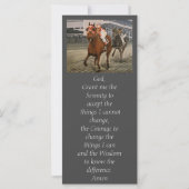 Eigenaars van prachtige paarden uit de Ras van Cla (Achterkant)