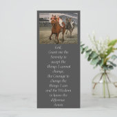 Eigenaars van prachtige paarden uit de Ras van Cla (Staand voorkant)