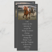 Eigenaars van prachtige paarden uit de Ras van Cla (Voorkant / Achterkant)