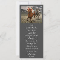 Eigenaars van prachtige paarden uit de Ras van Cla