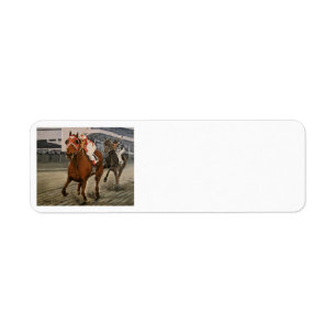 Eigenaars van prachtige paarden uit de Ras van Cla Etiket