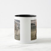 Eigenaars van prachtige paarden uit de Ras van Cla Mok (Midden)