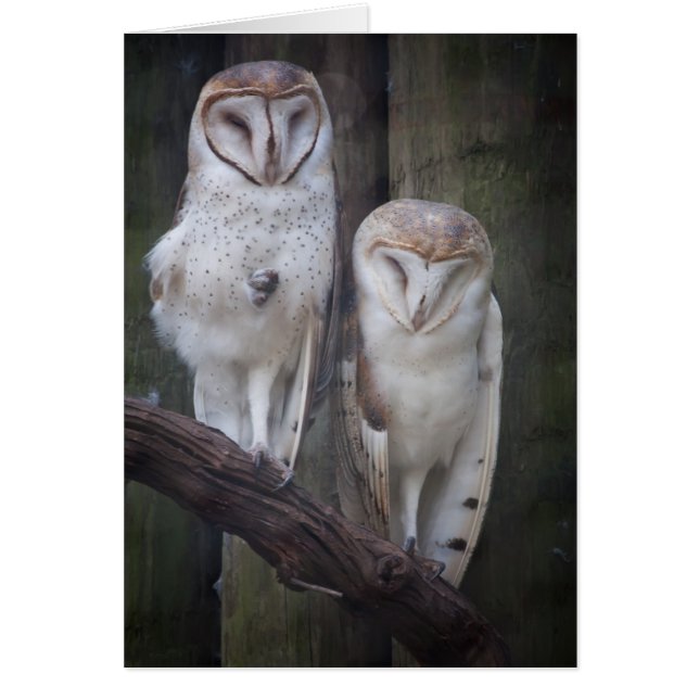 Eigenaarskaart (Voorkant)