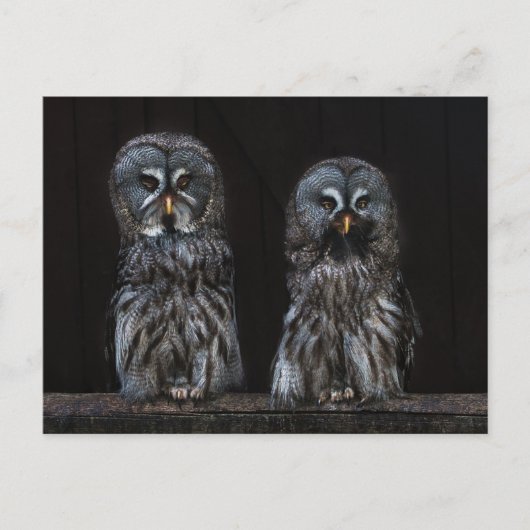 Eigenaren Briefkaart (Voorkant)