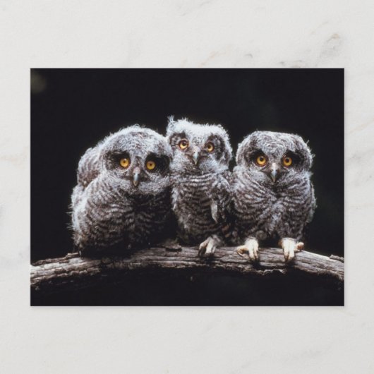 Eigenaren Briefkaart (Voorkant)