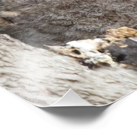 Eigenaren Foto Afdruk (Hoek)