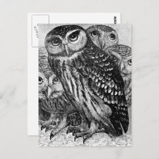 Eigenaren,  graven briefkaart (Voorkant / Achterkant)