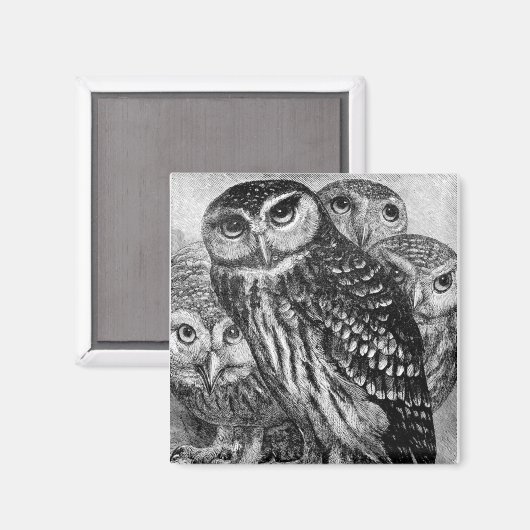 Eigenaren,  graven magneet (Voorkant / Achterkant)