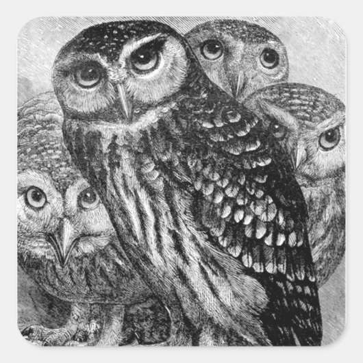 Eigenaren,  graven vierkante sticker (Voorkant)