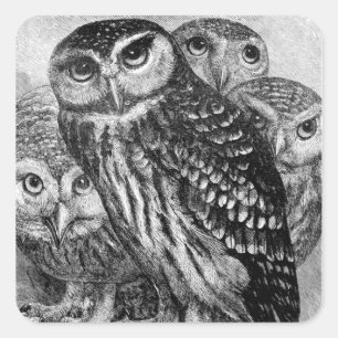 Eigenaren, graven vierkante sticker