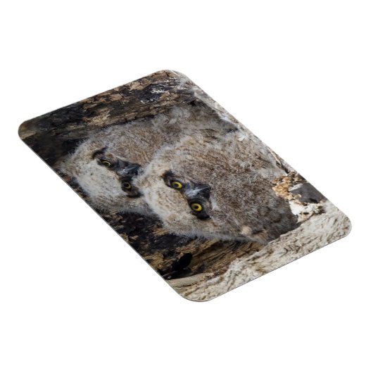 Eigenaren Magneet (Rechterzijde)