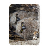 Eigenaren Magneet (Verticaal)