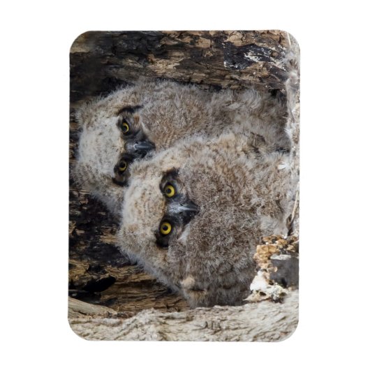 Eigenaren Magneet (Verticaal)