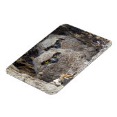 Eigenaren Magneet (Linkerzijde)